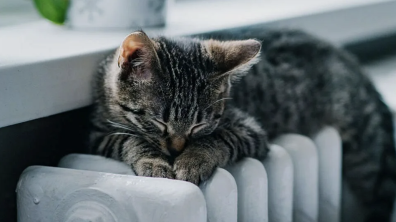 Когда будет тепло в домах тоболяков?