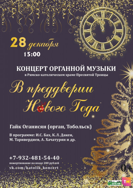 Как одеться на концерт органной музыки. Костел тобольск афиша. Римско католический храм тобольск. Органный зал тобольск. Тобольск органный концерт.
